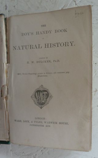 Vintage Book c1874 The Boy ' s Handy Natural History Colour Plates Dulcken Animals 5