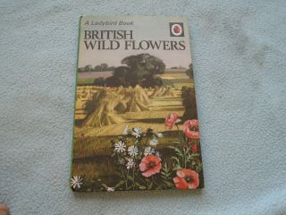 1957 Ladybird Book British Wild Flowers Series 536