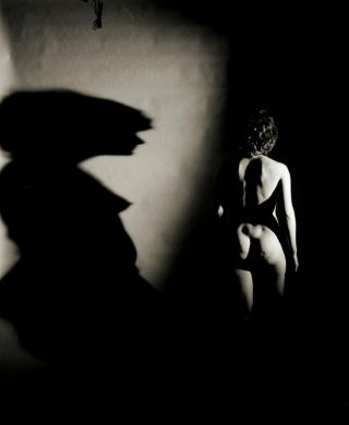 Vintage Pinup Negative 1960s Sexy Shadows Pose (nudes)