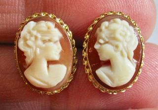 Vintage Zz 585 14k Yellow Gold Carved Shell Cameo Post Earrings 2.  6g