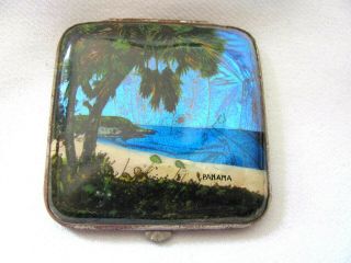 Vintage Butterfly Wing Compact Souvenir Of Panama Palm Tree Blue Morpho