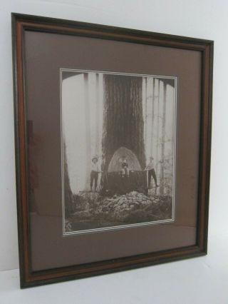 1 C.  1905 Wa Historical Logging Feller Photo W/ Child Vtg Reprint Framed 18x21