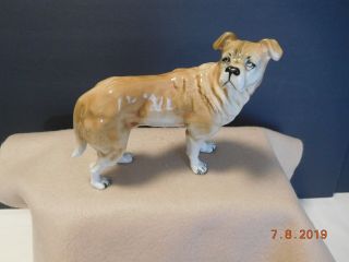 Vintage Bullmastiff Royal Dux Porcelain Dog Figurine Made In Czech Republic
