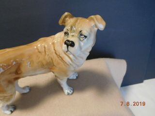 Vintage Bullmastiff Royal Dux Porcelain Dog Figurine Made in Czech Republic 2