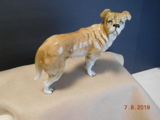 Vintage Bullmastiff Royal Dux Porcelain Dog Figurine Made in Czech Republic 3