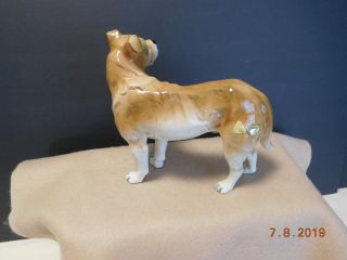 Vintage Bullmastiff Royal Dux Porcelain Dog Figurine Made in Czech Republic 4