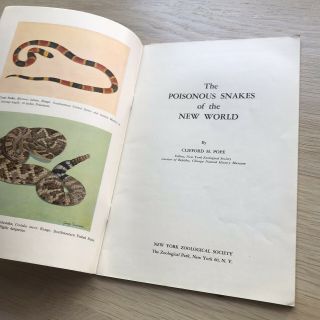 The Poisonous Snakes Of The World C.  Pope NYZS 1944 Scarce Reptile 2
