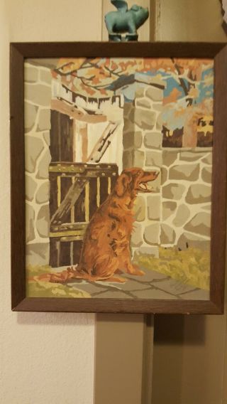Vtg Paint By Number Red Golden Retriever Dog Framed 37 Years Old