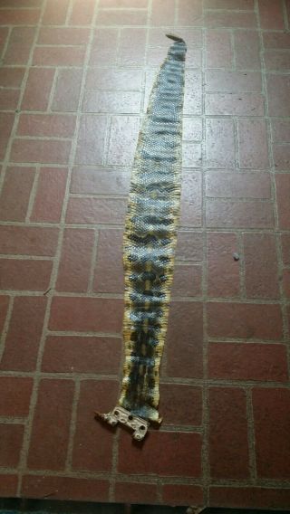 Vintage Rattle Snake Skin Hide Pelt 44 " Long