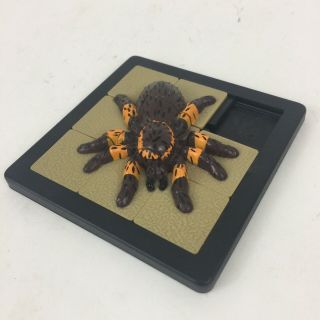Vtg 1993 Damert 3d Spider Insect Sliding Square Tile Jigsaw Puzzle 3x3