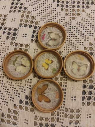 Vintage Pressed Butterfly Wooden Bamboo Drink Coaster Set Of 5