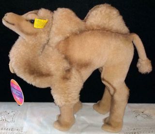 Vintage 10.  5 " Tall Steiff " Cosy Kamel " 4890/28 With Tags