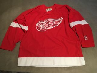 Vintage Detroit Red Wings Nhl Hockey Jersey Xl Adult Home Red Koho Blank No Name