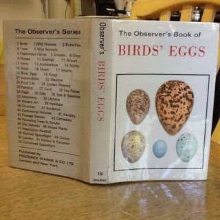 Observers Book Of Birds Eggs 1974 Emb Boards