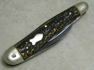 Vintage F.  Herder Solingen,  Germany Bone Wharncliffe Whittler Knife 7