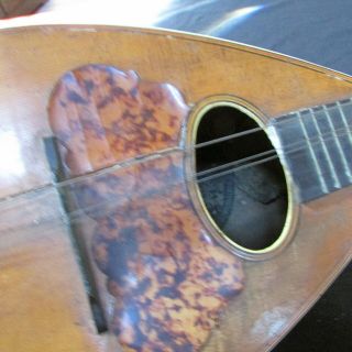 Vintage Musical Instrument 1893 Washburn Mandolin Chicago Exposition 2