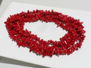 Vintage Natural Red Coral Branch Necklace 48 " 75gr