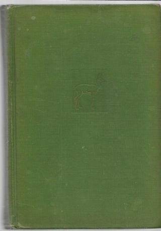 Bambi A Life In The Woods 1st Edition American (1st Ed) By Salten,  Felix