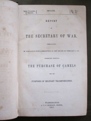 Book,  1857 Report ;the Purchase Of Camels,  For U.  S.  Army.