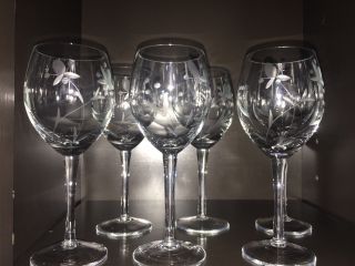 6 Vintage Clear Crystal Etched Design Champagne,  Wine,  Sherry Glasses