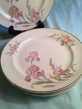 Vintage Universal Iris Luncheon Plates,  Set Of 5,  Cond.