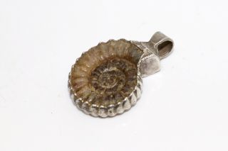 An Unusual Vintage Sterling Silver 925 Ammonite Fossil Pendant 14012