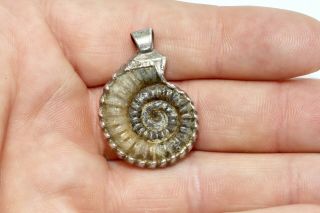 An Unusual Vintage Sterling Silver 925 Ammonite Fossil Pendant 14012 3