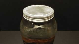 Vintage Large Hazel Atlas Glass Manhattan Coffee Jar - St.  Louis,  MO Advertising 4