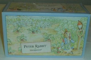 Vintage 1992 Peter Rabbit Children Tea Set,  Wedgwood 4 Pc Nib