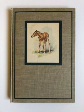 John Steinbeck The Red Pony 1st Illustrated Ed.  1945 Hb Vintage Children 