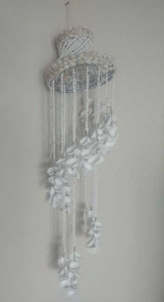 Macrame Style Shell Seashell Vintage Hanger Hanging Shells Display