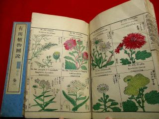 2 - 30 Japanese Botanical Yuyo Woodblock Print Book S