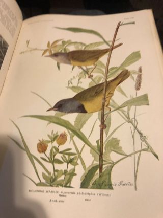 Birds of America Parts I,  II and III in One Volume,  Garden City Publishing 1936 2