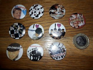 10 X Vintage 1980s Madness Badges Ska Two 2 Two Tone The Specials Badges