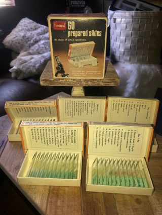 Vintage Sears Microscope Prepared Slides (60 Slides) 12 Each In A Total Of 5 Box