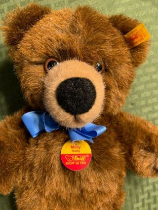 Vintage Steiff Teddy Bear / Brown / 021701