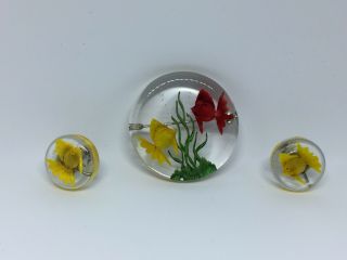 Vintage Lucite Fish Brooch Pin And Earring Set