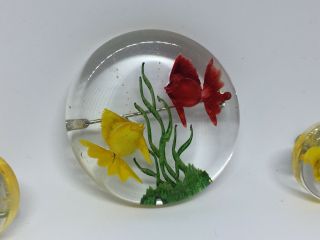 Vintage Lucite Fish Brooch Pin And Earring Set 2