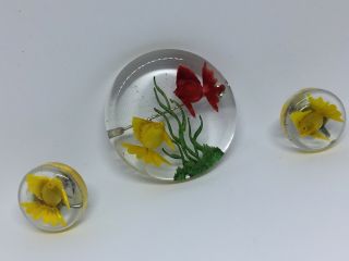 Vintage Lucite Fish Brooch Pin And Earring Set 4