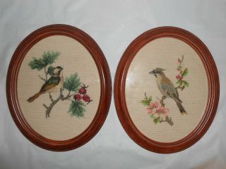 Vintage Pair Needlepoint Birds On Canvas 10 " X 12 " Oval Wood Frames