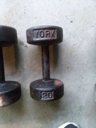1 Vintage Rare Antique 20 Lb Pound York Barbell Roundhead Dumbell Pre U.  S.  A.
