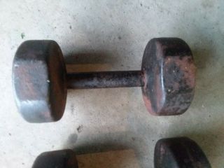 1 Vintage Rare Antique 20 lb Pound York Barbell Roundhead Dumbell Pre U.  S.  A. 2