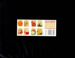 Scott 4754 - 63,  50c Forever Stamp Vintage Seeds Sheet Of 20 Mnh Og
