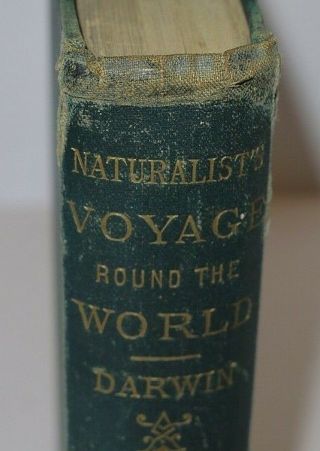 C Darwin Naturalist ' s Voyage Round The World 2nd Edition 1885 7