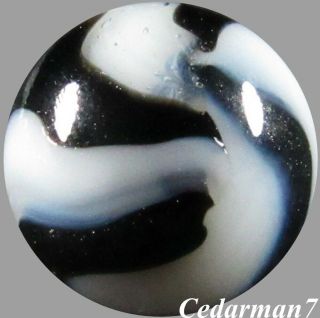 Cedarman7,  Stunning Vintage 19/32 " Wet (-) Peltier Nlr Zebra Av Marble