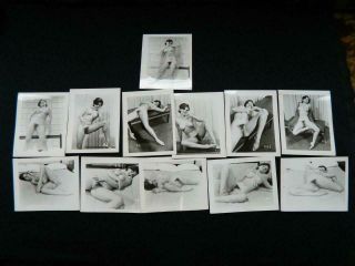 12 Vintage 1960s Black And White Nude Photos Same Model First Hustler Club Ohio