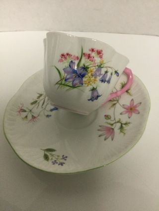 Vintage Shelley Fine Bone China Wildflowers Tea Cup And Saucer (mis - Match)