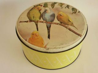 Cute Willow Budgie Biscuit Tin,  Large 1950s Cake Tin,  Vintage Kitchen,  Rustic