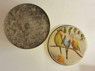 Cute Willow Budgie Biscuit Tin,  Large 1950s Cake Tin,  Vintage Kitchen,  Rustic 2