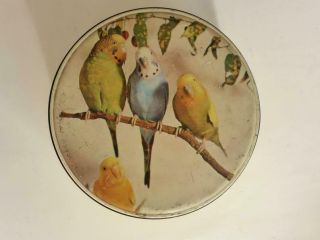 Cute Willow Budgie Biscuit Tin,  Large 1950s Cake Tin,  Vintage Kitchen,  Rustic 4